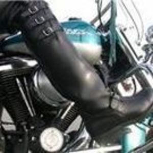 Meet your Posher, Roxanne